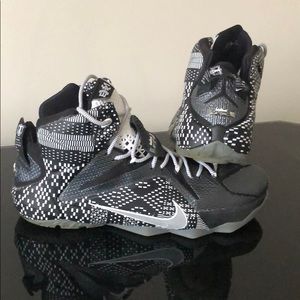 LeBron 12’s